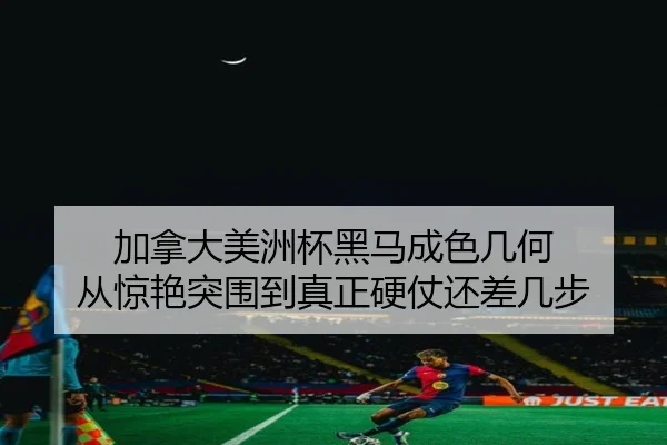 加拿大美洲杯黑马成色几何 从惊艳突围到真正硬仗还差几步